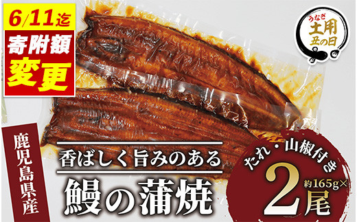 [丑の日に合わせてお届け!]＼6/11までご愛顧感謝 16,000円→15,000円/鹿児島県産鰻の蒲焼(無頭背開き)約165g×2尾(山中水産/015-1065u)[2025年7月9日〜7月19日お届け]うなぎ 国産 鹿児島 蒲焼 丑の日 丑 土用丑の日
