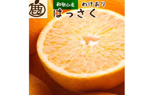 ＜1月より発送＞家庭用 はっさく7.5kg+250g（傷み補償分） ｜ 八朔みかん わけあり 訳あり ワケアリ ※2026年1月上旬～3月下旬頃に順次発送予定 ※北海道・沖縄・離島への配送不可 ◇