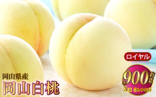 岡山白桃 ロイヤル 3玉×約300g（3Lサイズ） 計約900g 岡山県産【2025年7月上旬～8月下旬発送予定】 白桃 桃 もも モモ