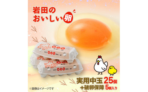岩田のおいしい卵実用中玉25個+破卵保障5個(10個入り×3パック)【1039740】