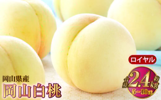 岡山白桃 ロイヤル 5～10玉 約2.4kg 岡山県産【2025年7月上旬～8月下旬発送予定】 白桃 桃 もも モモ