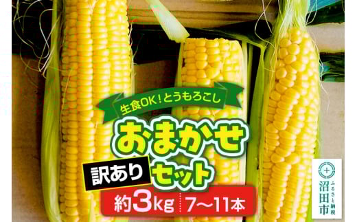 《7月下旬～9月中旬発送》【訳あり】とうもろこし おまかせセット約3kg（7～11本／品種の本数おまかせ） 984813 - 群馬県沼田市