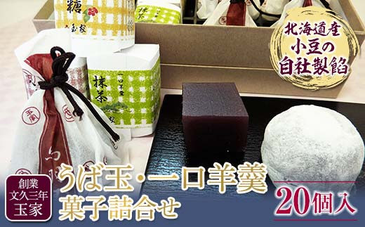 創業文久三年 玉家 うば玉、一口羊羹詰合せ F21R-007 592387 - 福島県白河市