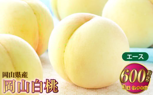 岡山白桃 エース 3玉×約200g（Lサイズ） 計約600g 岡山県産【2025年7月上旬～8月下旬発送予定】 白桃 桃 もも モモ