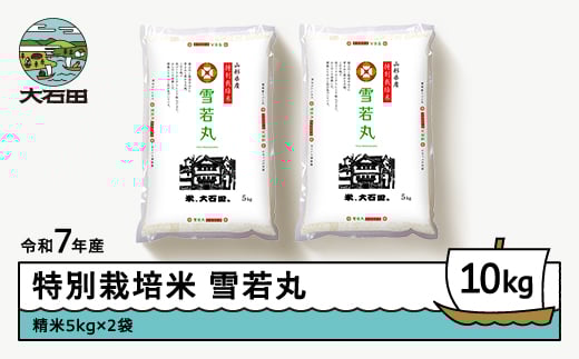 新米 米  令和7年産 米 雪若丸 10㎏ 2025年11月上旬発送 大石田町産 特別栽培米 精米 ja-yusxa10-11f