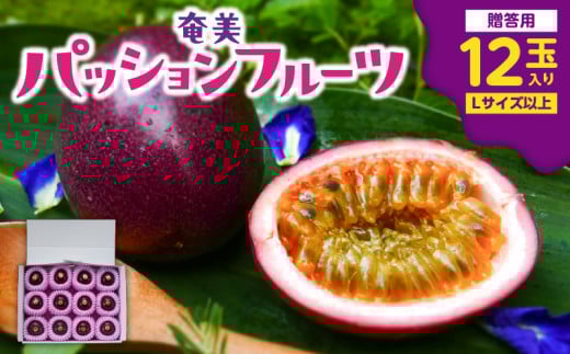 奄美パッションフルーツ 贈答用 12玉入り　A135-007