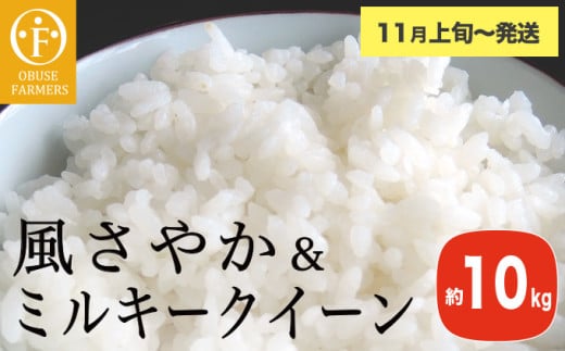風さやか＆ミルキークイーン 食べ比べ 約10kg ［ おぶせファーマーズ ］ お米 コメ おこめ ご飯 精米 長野県産 2種  【2025年11月上旬～発送】［FK-31］