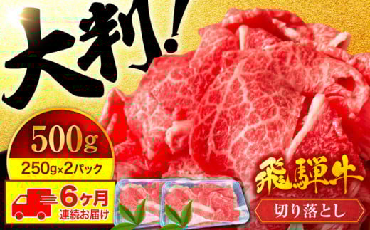 【6回定期便】色んな料理に使いやすい！ 飛騨牛 切り落とし 500g【有限会社マルゴー】国産牛 和牛 霜降り [MBE030] 729420 - 岐阜県土岐市