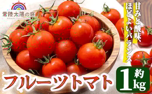 再エネと次世代農法が育んだ高糖度フルーツトマト約1kg フルティカ 濃厚 野菜 甘い 茨城県 フルーツトマト 高糖度 おつまみ おやつ ティポ 中玉トマト トマト やさい 完熟 お弁当 贈り物 サラダ 産地直送 プレミアムフルーツトマト 野菜生活 【常陸太陽の庭】【ho1265】 1435891 - 茨城県常陸大宮市