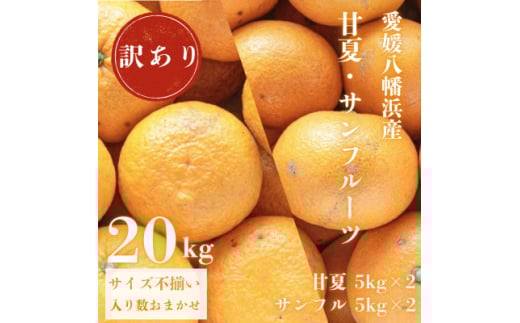 甘夏&サンフルーツ各10kg＜訳あり＞＜F20-85＞【1625136】 2135886 - 愛媛県八幡浜市