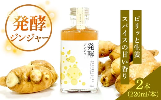 ピリっと生姜にスパイスの甘い香り！身体にも心にも優しい発酵ジンジャーシロップ！発酵ジンジャー（2本セット） 日田市/株式会社インパクト スパイス 炭酸 シロップ [ARDA010]