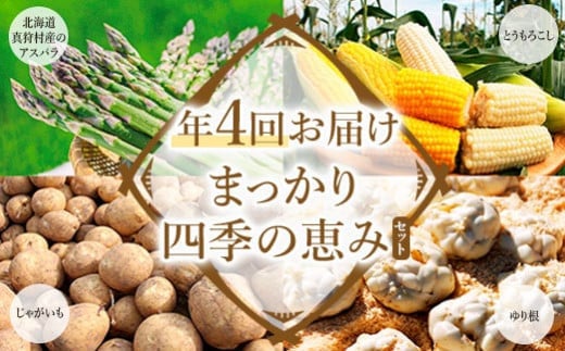 まっかり四季の恵みセット（年4回お届け）【北海道真狩村産のアスパラ、とうもろこし、じゃがいも、ゆり根】<2026年アスパラはじまり>【0117801】