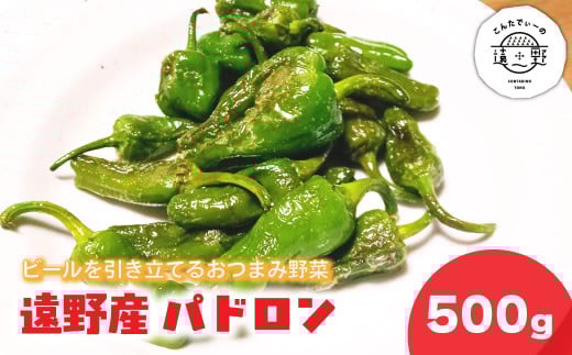 パドロン 500g 岩手県 遠野市 産 こんたでぃーの遠野 野菜 おつまみ 【 先行予約 】2025年7月上旬より発送予定 