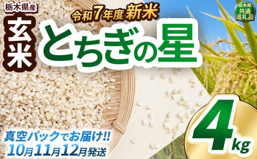 【先行予約】いちご農家さん応援米！令和7年度新米 玄米真空パック 約2kg × 2回 約4kg とちぎの星 | 新米 真岡市産 真空 パック 米  お米 こめ 玄米 ご飯 ごはん もちもち  限定 ふるさと納税 先行 予約 栃木県 真岡市 送料無料  2133914 - 栃木県真岡市