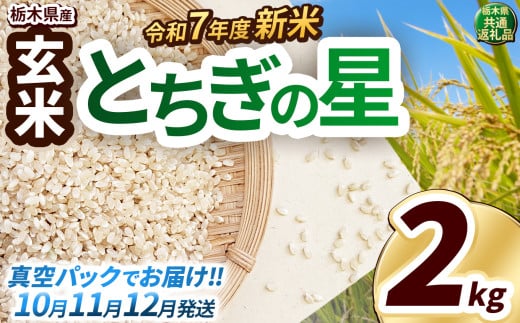 【先行予約】いちご農家さん応援米！令和7年度新米 玄米真空パック 約2kg とちぎの星 | 新米 真岡市産 真空 パック 米  お米 こめ 玄米 ご飯 ごはん もちもち  限定 ふるさと納税 先行 予約 栃木県 真岡市 送料無料 