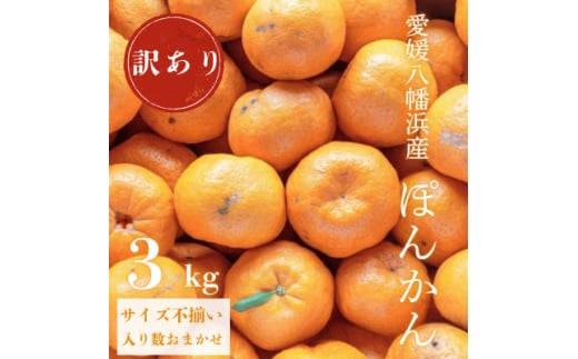 ＜南国を感じさせる独特の香り＞訳あり 愛媛ポンカン 3kg＜C20-91＞【1625439】