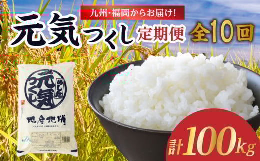九州・福岡からお届け！ブランド米「元気つくし」定期便 10kg(5㎏×2)【全10回】 お米 米 コメ 白米 特A 直送 お弁当 おにぎり 炊きたて ツヤ 粘り もちもち 弾力 卵かけご飯 福岡県 八女市