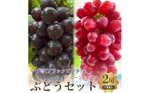 おすすめ感謝セット　クイーンセブン+泉湧誉 2房セット [№5385-0503] 2135291 - 大阪府岸和田市