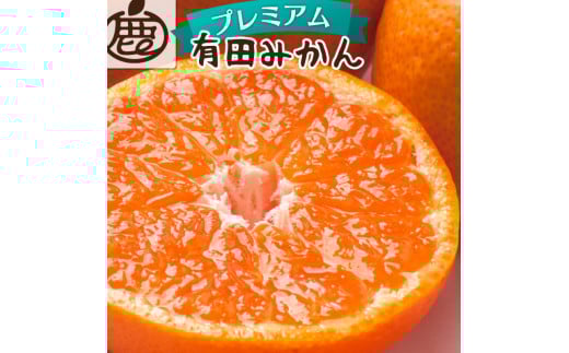 【先行予約】プレミアム有田みかん 1kg+250g（傷み補償分）11月より発送(完熟)【光センサー選果】※北海道・沖縄・離島配送不可 / みかん ミカン 蜜柑 フルーツ 果物 柑橘 有田みかん 有田【ikd214】