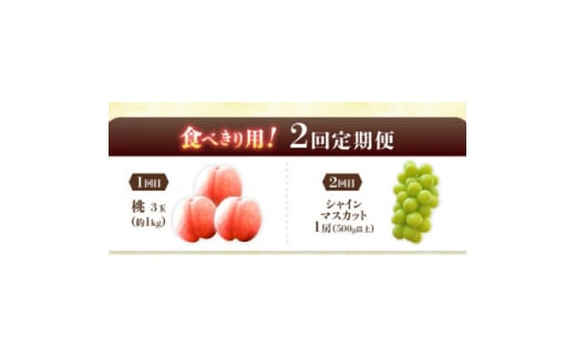 ＜発送月固定定期便＞桃3玉(1kg)　シャインマスカット1房(500g以上)全2回【4067604】