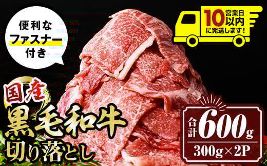 isa694 〈10営業日以内に発送〉黒毛和牛切り落とし (合計600g・300g×2P) 国産 真空包装 真空パック ファスナー 小分け 切落とし 牛 うし 牛肉 アウトドア BBQ 冷凍 【サンキョーミート株式会社】