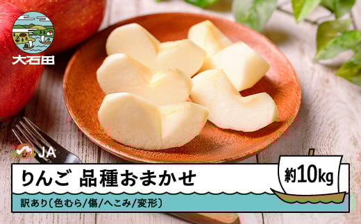 りんご 品種おまかせ 訳あり 無印 約10kg 2025年産 フルーツ 果物 山形県 ja-riwax10 1502454 - 山形県大石田町