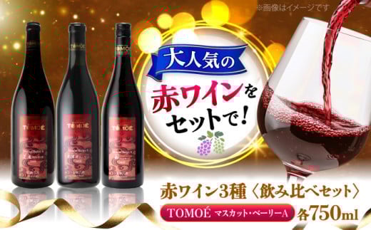 〜三次のMBAを味わう〜マスカット・ベーリーA 3ヴァインヤードセット ワイン 受賞 飲み比べ ワインセット ギフト 三次市/広島三次ワイナリー[APAZ031]