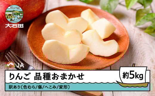 りんご 品種おまかせ 訳あり 無印 約5kg 2025年産 フルーツ 果物 山形県 ja-riwax5 1502453 - 山形県大石田町