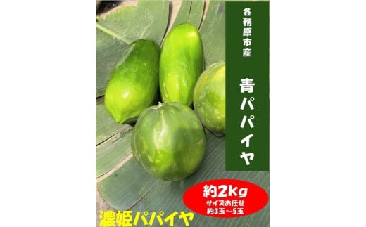 1044 濃姫パパイヤ 約2kg サイズお任せ 岐阜県産 無農薬 無添加 2155454 - 岐阜県各務原市