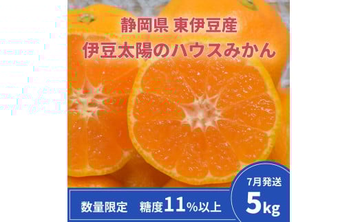 糖度11％以上　JAふじ伊豆　伊豆太陽のハウスみかん　5kg　静岡県産 1312 ／JAふじ伊豆 ハウスみかん みかん 静岡県 東伊豆町 2133546 - 静岡県東伊豆町
