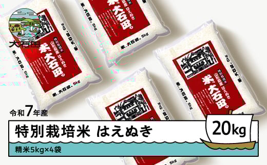 新米 米 令和7年産 米 はえぬき 20㎏ 大石田町産 特別栽培米 精米 ja-hasxa20