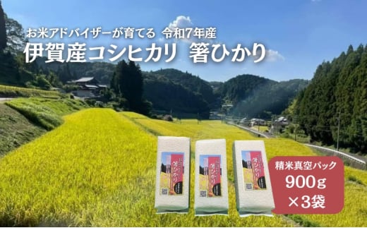 先行販売！令和7年度産　伊賀産コシヒカリ　極上　箸ひかり(精米真空パック)900ｇ×3袋