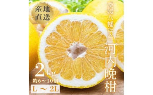 《果汁たっぷりジューシー》産地直送 愛媛八幡浜産 河内晩柑2kg＜C20-90＞【1625429】