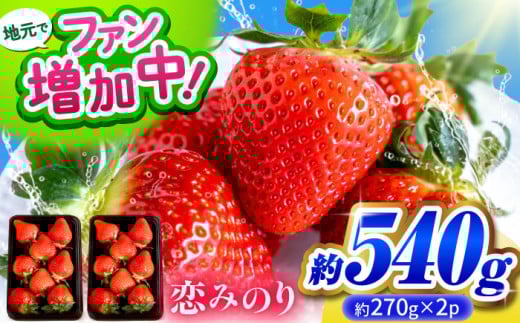 [先行予約]こば農園のこだわりいちご 恋みのり 約540g(約270g:6~11粒×2パック) [合同会社 こば農園] 