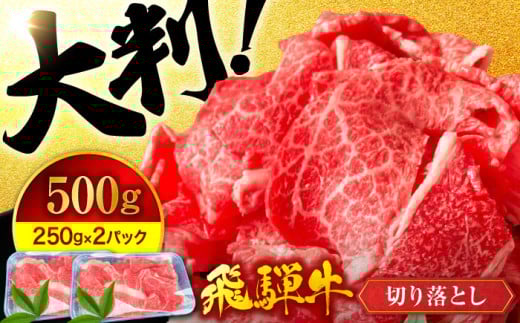 ＜いろんな料理に使える！＞ 飛騨牛 A5ランク 切り落とし 500g(250g×2)【有限会社マルゴー】国産牛 和牛 霜降り [MBE002] 729055 - 岐阜県土岐市