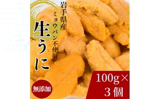 天然生うに100g×3パック 岩手県産 ミョウバン不使用【1625398】 2132419 - 岩手県宮古市
