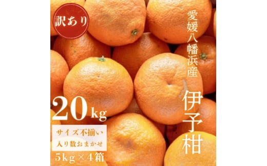 ＜爽やか香りと柔らかジューシーな果肉＞愛媛八幡浜産 訳あり 宮内伊予柑 20kg＜G20-92＞【1625451】