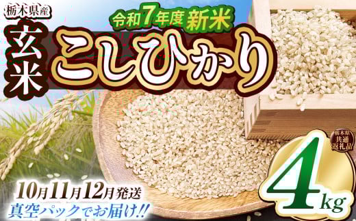 【栃木県共通返礼品】【先行予約】【10月発送】【数量限定】令和7年度新米 栃木県産こしひかり（玄米真空パック） 2kg×2  | 玄米 精米 お米 コメ こしひかり 先行予約 ブランド米 栃木県 特産品  下野市 送料無料 2135422 - 栃木県下野市