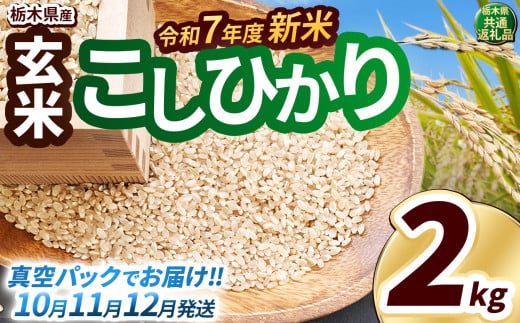 【先行予約】いちご農家さん応援米！令和7年度新米 玄米真空パック 約2kg こしひかり | 新米 真岡市産 真空 パック 米  お米 こめ 玄米 ご飯 ごはん もちもち コシヒカリ 限定 ふるさと納税 先行 予約 栃木県 真岡市 送料無料 