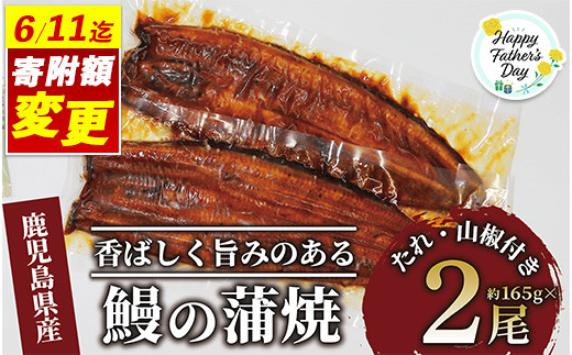【父の日ギフト】＼6/8までご愛顧感謝 16,000円→15,000円／鹿児島県産 鰻の蒲焼(無頭背開き)約165g×2尾(山中水産/015-1065f) 父の日 ギフト 贈り物 プレゼント うなぎ 国産 鹿児島 蒲焼 ウナギのかば焼き うなぎの蒲焼 1978794 - 鹿児島県指宿市