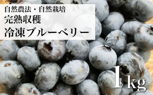 自然農法 自然栽培 冷凍 ブルーベリー 1kg 栽培期間中 農薬不使用 農家 直送 遠野もぐもぐカントリー 【先行予約：2025年8月初旬頃発送】 