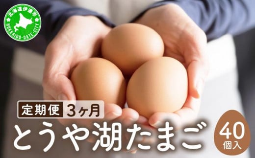 [5525-0919]【3ヵ月 定期便】 北海道 伊達市 とうや湖 卵  40個 入り たまご 1279816 - 北海道伊達市