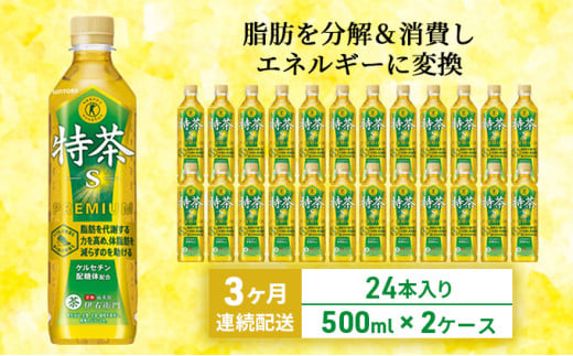 お茶 定期便 3ヶ月 伊右衛門 特茶 500ml × 48本(2ケース) サントリー 特定保健用食品 トクホ 緑茶 ペットボトル 500 茶 日本茶 国産 トクホ茶 飲料 飲み物 ドリンク ペットボトル飲料 箱 ケース 脂肪 体脂肪 減らす 神奈川 綾瀬市 定期 3回　定期便 1375294 - 神奈川県綾瀬市