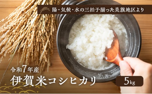 陽・気候・水の三拍子揃った美旗地区より みはたM'sファーム 令和7年産 伊賀米コシヒカリ 5kg
