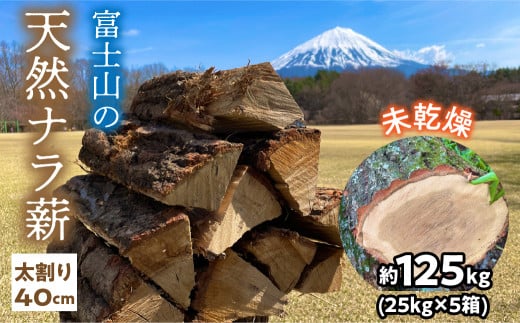 富士山の天然ナラ薪 太割り40cm 約125kg(25kg×5箱) 未乾燥 ふるさと納税 人気 おすすめ ランキング 薪 楢 焚き火 燃料 キャンプ 富士山 山梨県 鳴沢村 送料無料