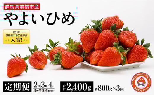 【先行予約】2026年産 いちご【定期便／３ヵ月連続お届け】『やよいひめ』 約800g×3回（総量2.4Kg)【2025年群馬県いちご品評会入賞！】 490864 - 群馬県前橋市