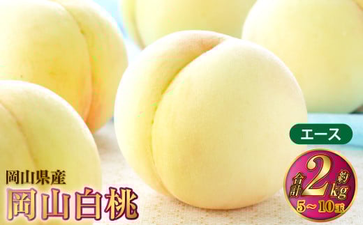 岡山白桃 エース 5～10玉 約2kg 岡山県産【2025年7月上旬～8月下旬発送予定】 白桃 桃 もも モモ