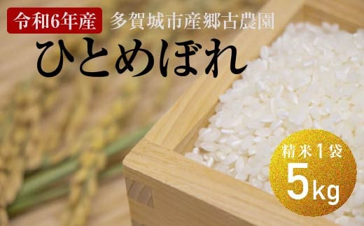 【令和6年産】多賀城市産郷古農園ひとめぼれ　精米5kg（5kg×1袋）　【04209-0280】