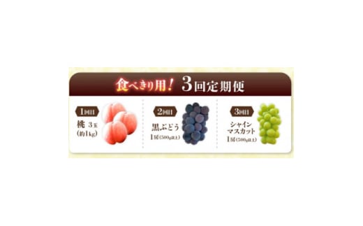 ＜発送月固定定期便＞桃3玉　黒ぶどう1房(500g以上)シャインマスカット1房(500g以上)全3回【4067605】