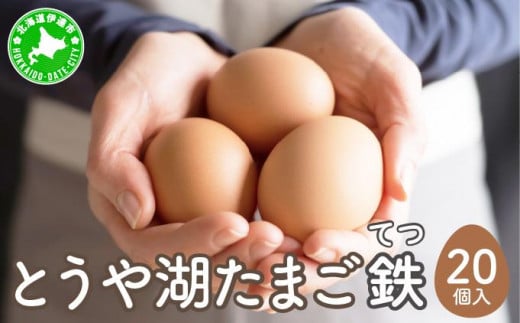 [5525-0908]北海道 伊達市 とうや湖 卵 鉄  20個 入り たまご 1279805 - 北海道伊達市